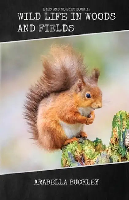 Wild Life in Woods and Fields by Arabella Buckley