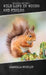 Wild Life in Woods and Fields by Arabella Buckley