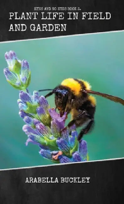 Plant Life in Field and Garden by Arabella Buckley