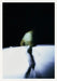 Shelley Lasica: When I Am Not There by Hannah Mathews