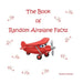 The Book of Random Airplane Facts by Pauline Malkoun