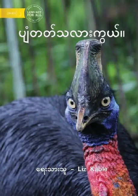 Can It Fly - ပျံတတ်သလားကွယ်။ by Liz Kable