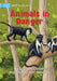 Animals in Danger by Sean McCollum