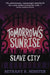 Tomorrow's Sunrise by Bethany R. Minster