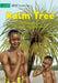 Palm Tree by Simon Ipoo