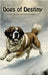 Dogs of Destiny by Downey, Fairfax