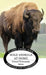 Wild Animals at Home by Ernest Thompson Seton