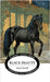 Black Beauty by Sewell, Anna