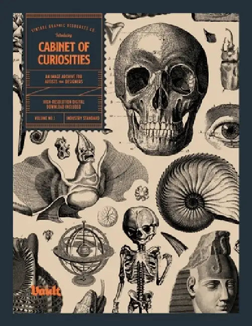 Cabinet of Curiosities by Kale James