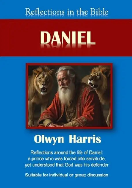 Reflections in the Bible Daniel by Olwyn L. Harris