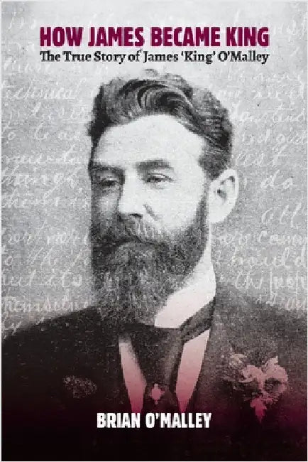 How James became King by O'Malley, Brian