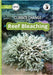 Climate Change: Reef Bleaching - Our Yarning by Muriata, Chris