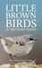 Little Brown Birds by Ricki Coughlan