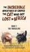 The Incredible Adventures of Casper the Cat Who Got Lost in Africa: Book 1: The Pangolins by Jennifer Ussi