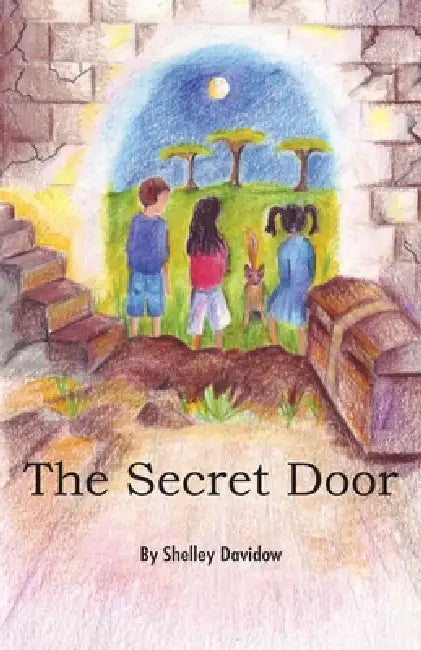The Secret Door by Shelley Davidow