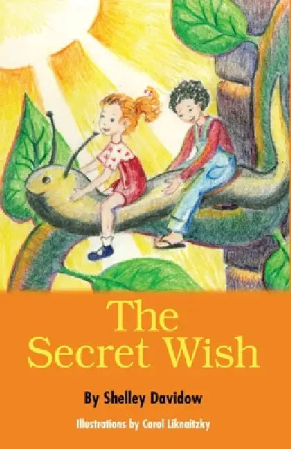 The Secret Wish by Shelley Davidow