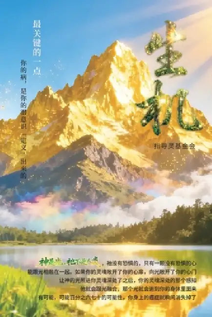 Vitality: Simplified Chinese Edition by Oriental Holy Light