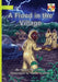 A Flood in the Village by Alison McLennan, Anton Syadrov
