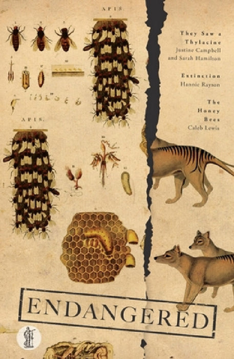 Endangered: Three Plays by Justine Campbell, Sarah Hamilton, Hannie Rayson