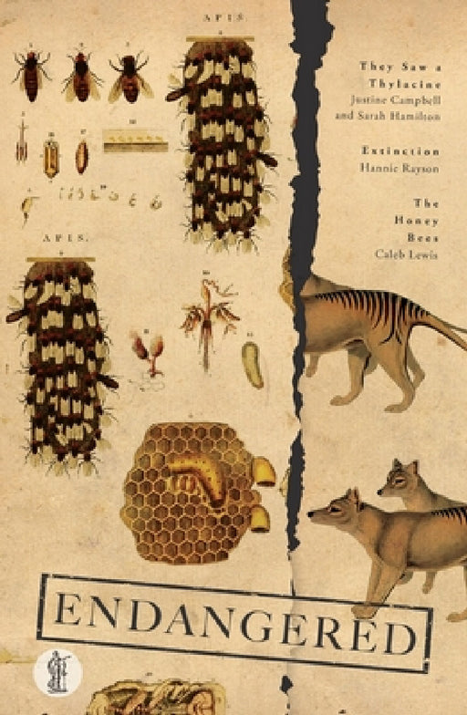 Endangered: Three Plays by Justine Campbell, Sarah Hamilton, Hannie Rayson