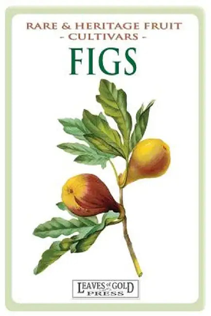 Figs: Rare and Heritage Fruit Cultivars #13 by C. Thornton