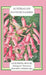 Australian Flower Fairies Address Book by Margaret Thornton