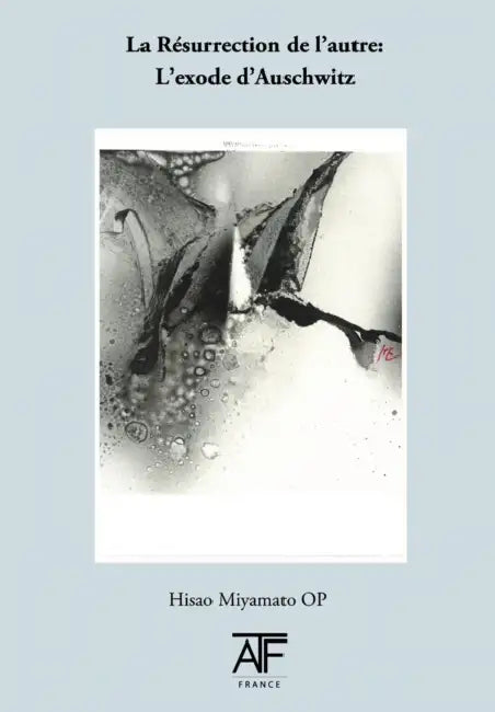 La Résurrection De Lacure by Hisao Miyamto