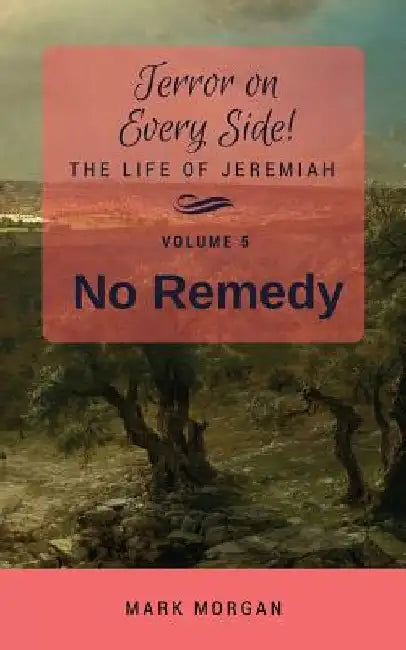 No Remedy: Volume 5 of 6 by Mark Timothy Morgan