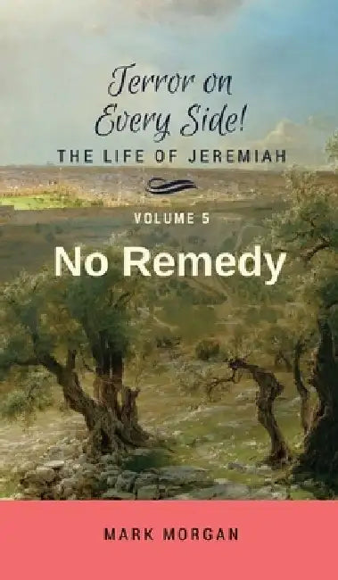 No Remedy: Volume 5 of 6 by Mark Timothy Morgan