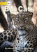 Big Cats by Micah May, Nora May