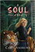 A Soul Incarnate by Andrews, Chris