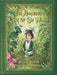 The Amazing Case Of Dr Ward by Jackie Kerin