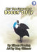 Why The Cassowary Doesn't Fly by Eileen Fleming, Meg Skinner