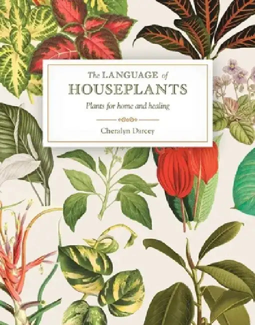 The Language of Houseplants: Plants for Home and Healing by Cheralyn Darcey