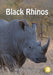 Black Rhinos by Hunter Wildman