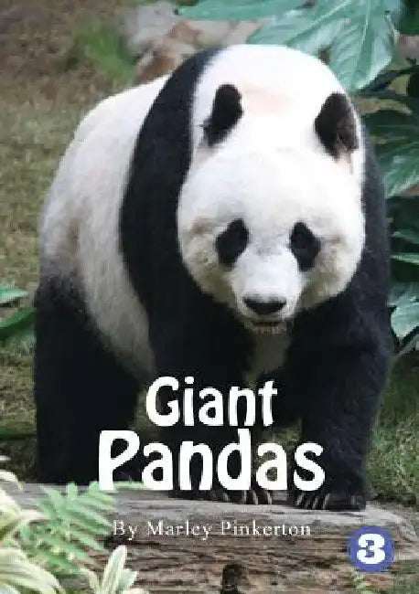 Pandas by Marley Pinkerton