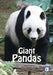 Pandas by Marley Pinkerton