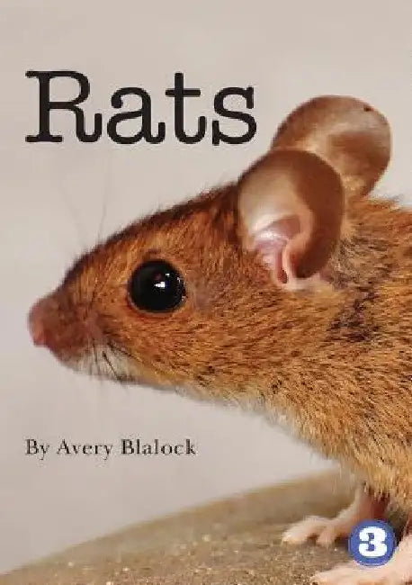 Rats by Avery Blalock