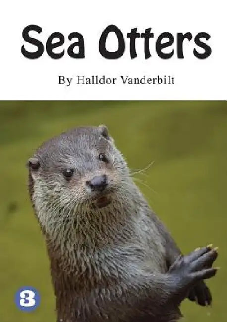 Sea Otters by Halldor Vanderbilt