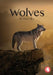 Wolves by Nora May