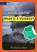 What Is A Volcano? by Adelina Tibell