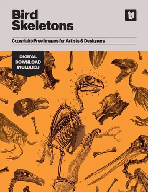 Bird Skeletons: Copyright-Free Images for Artists & Designers by Kale James