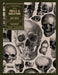 Skulls and Skeletons: An Image Archive and Anatomy Reference Book for Artists and Designers: An Image Archive and Drawing Reference Book for Artists a by Kale James