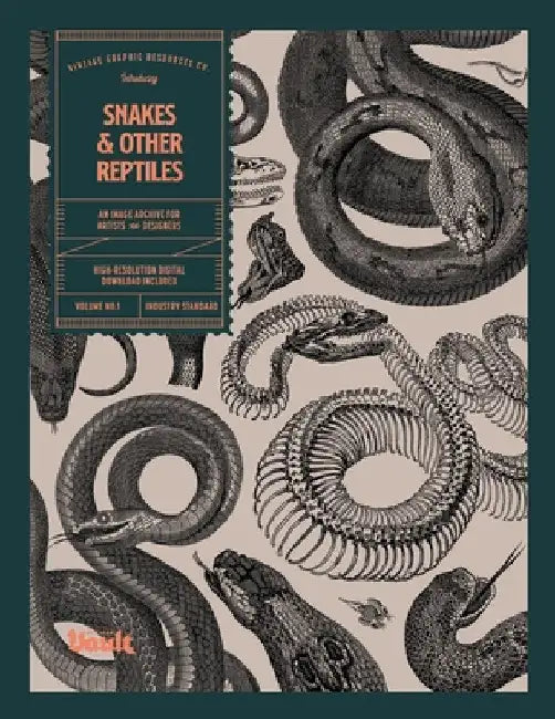 Snakes and Other Reptiles by Kale James