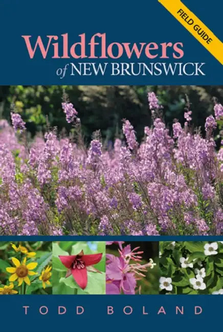 Wildflowers of New Brunswick: Field Guide by Todd Boland