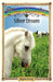 Silver Dream: Sometimes Horses Need a Little Magic by Angela Dorsey