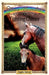 Fighting Chance: Sometimes Horses Need a Little Magic by Angela Dorsey