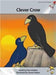 Clever Crow by Pam Holden, Samer Hatam