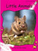 Little Animals by Pam Holden