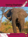 Saving Elephants by Suzette Toms